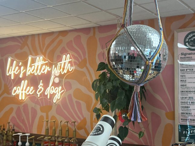 neon sign and a hanging disco ball