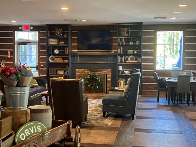 bookshelves and windows